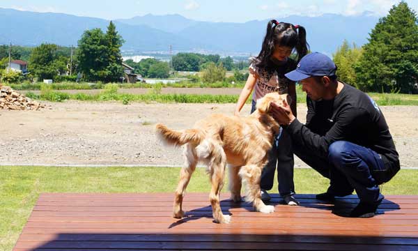 wood deck