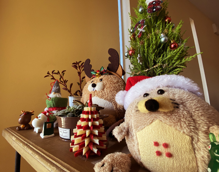 クリスマスに向けて