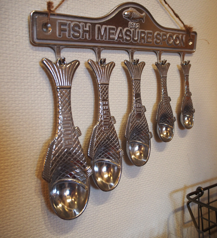 FISH MEASURE SPOON