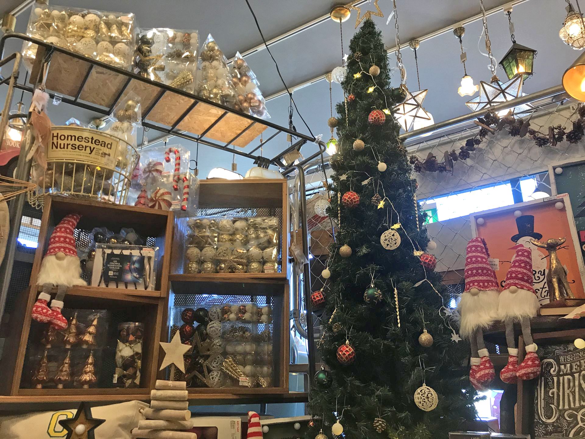 クリスマス先取り!