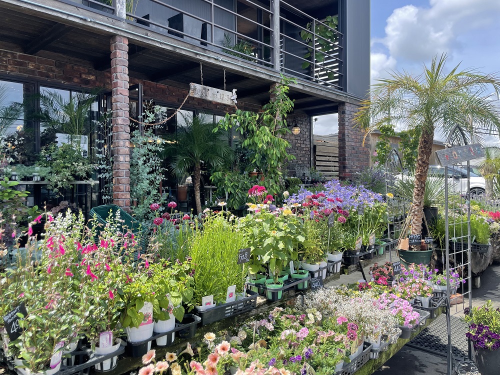 GREENで素敵な植物探し