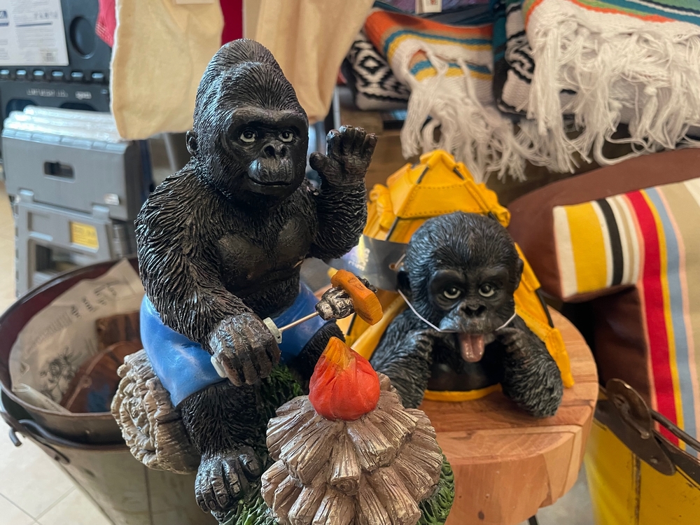 アウトドアのお供に♪