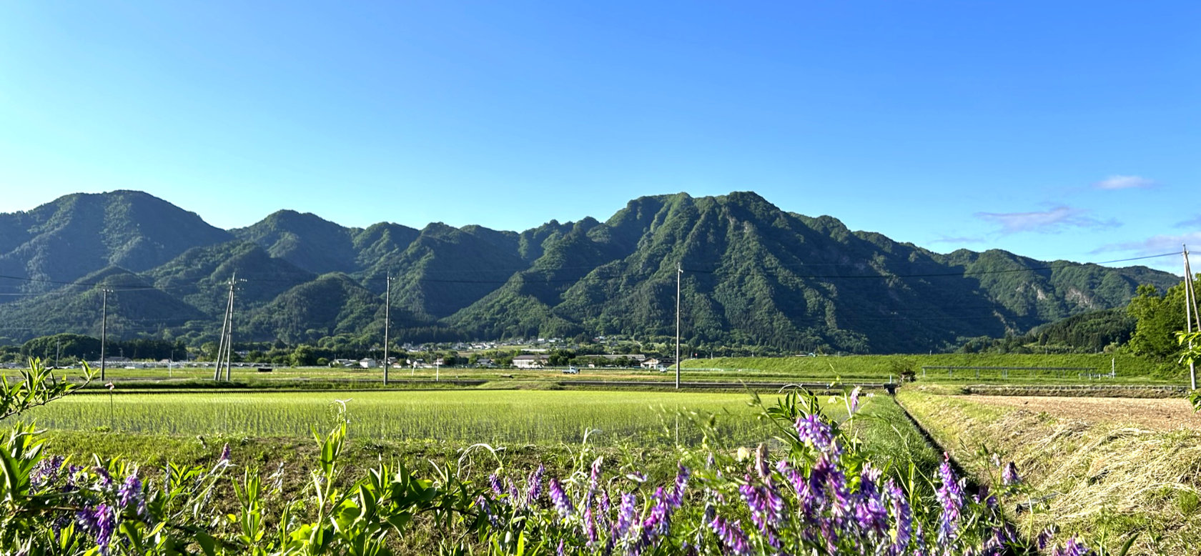 上田市への移住と家づくりのポイント