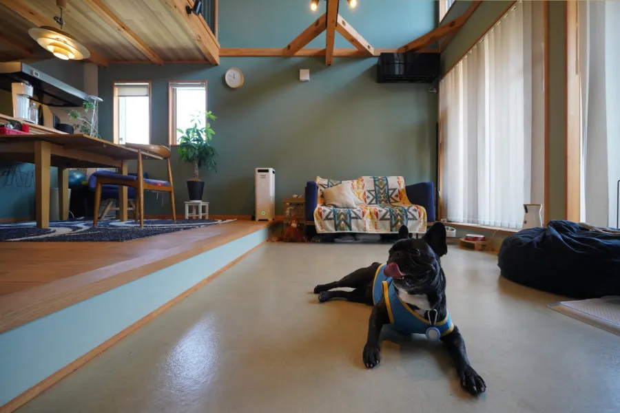 小島BASEと神畑BASE