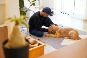 https://www.across-home.com/column/dog-friendly-home-ideas/