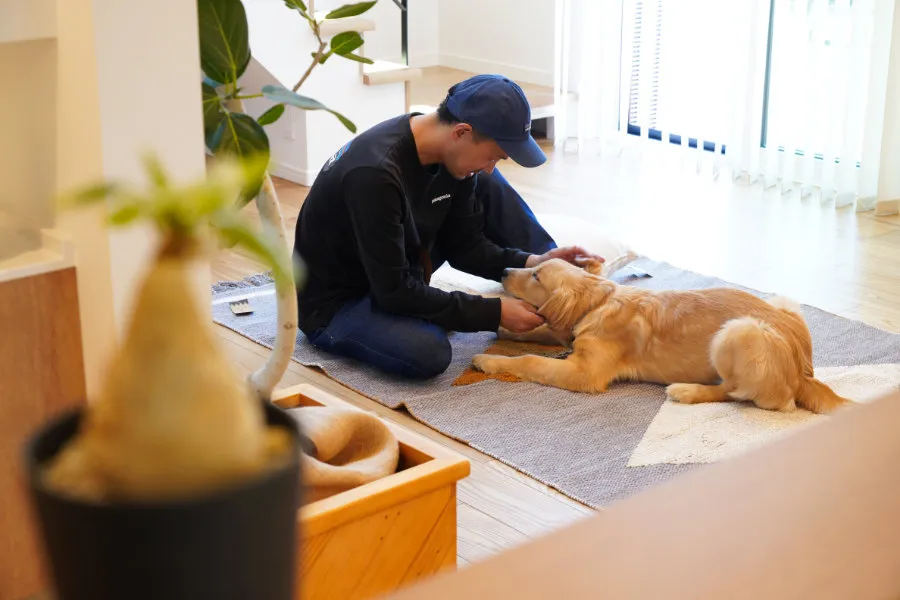 ぽかぽか陽気を住まいで満喫！愛犬と楽しく暮らす家づくりのアイデア