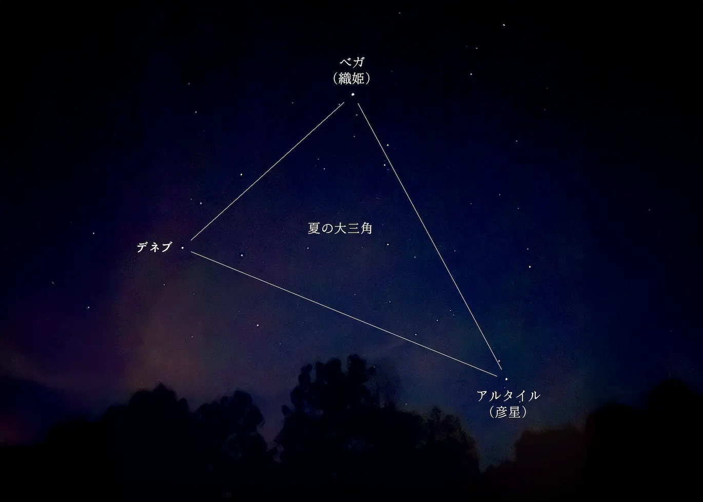 夏の夜は、満点の星空で天体観測を楽しむ